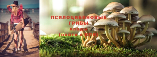 МДПВ Зерноград