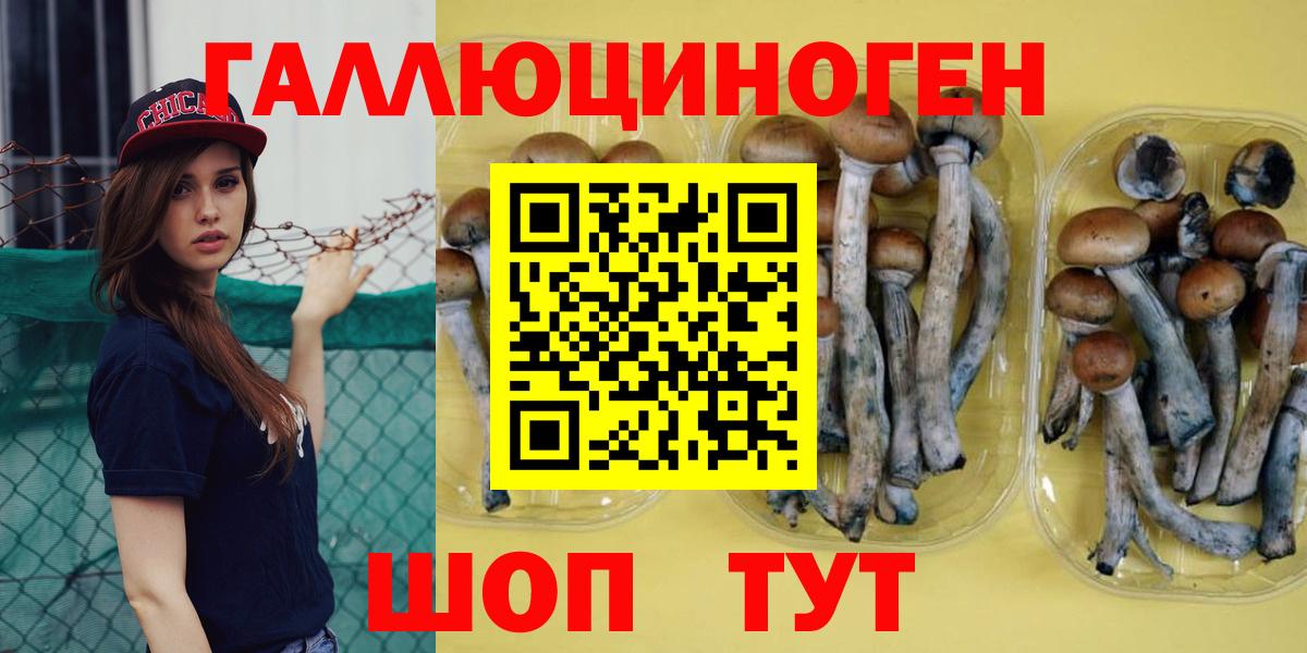 Псилоцибиновые грибы мухоморы  где купить наркотик  Псилоцибиновые грибы MAGIC MUSHROOMS  Солнечногорск 