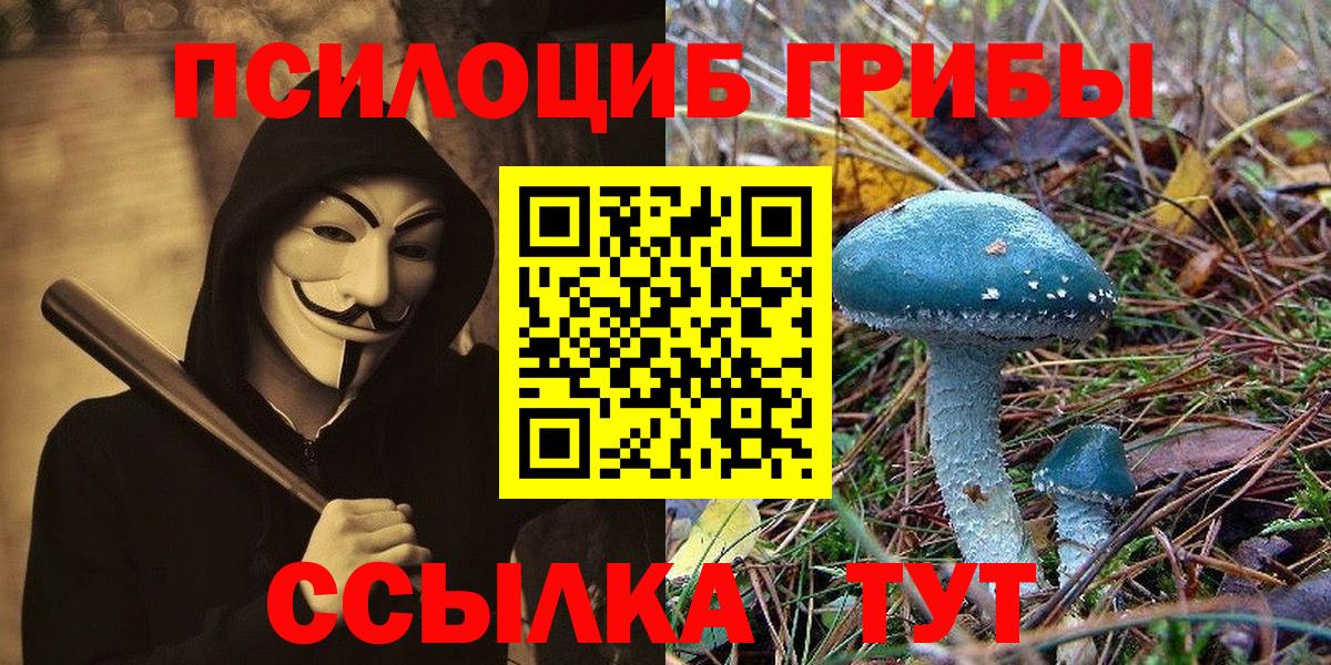 Псилоцибиновые грибы мицелий  Вход с VPN  Солнечногорск 
