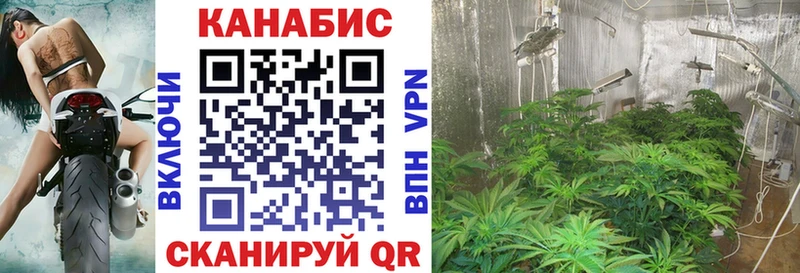Бошки Шишки SATIVA & INDICA  Солнечногорск 